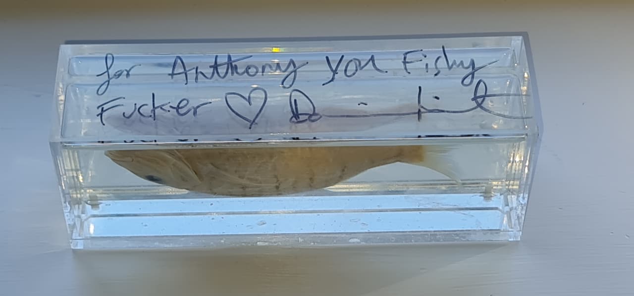 The fish in formaldehyde, its case signed with a dedication to Anthony